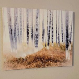 Bobby Socks Trees- 16x20 Canvas